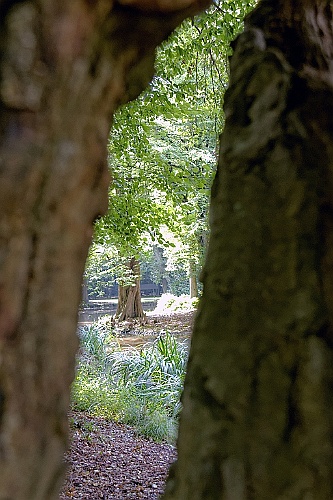 Bentheim182