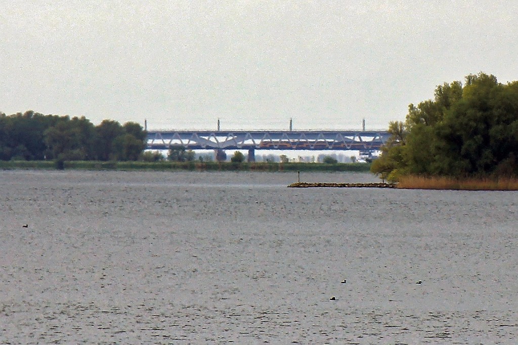BiBo23.jpg