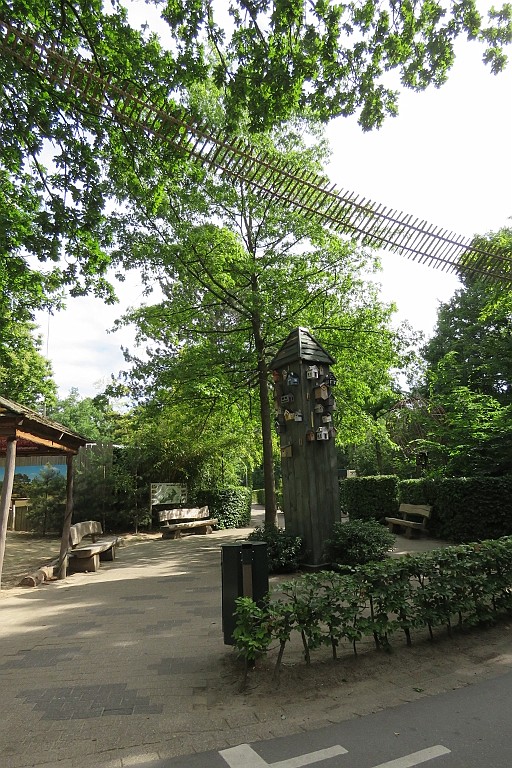 CPEH0622 (54).JPG