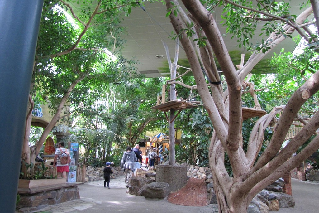 CPEH0622 (61).JPG