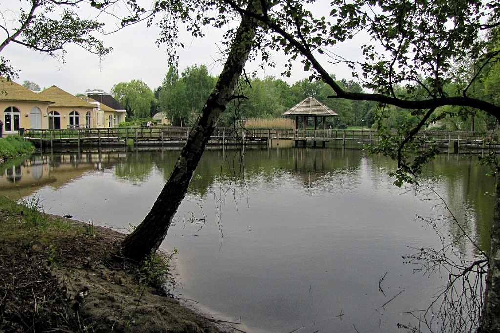 CPLP0419 (62).jpg