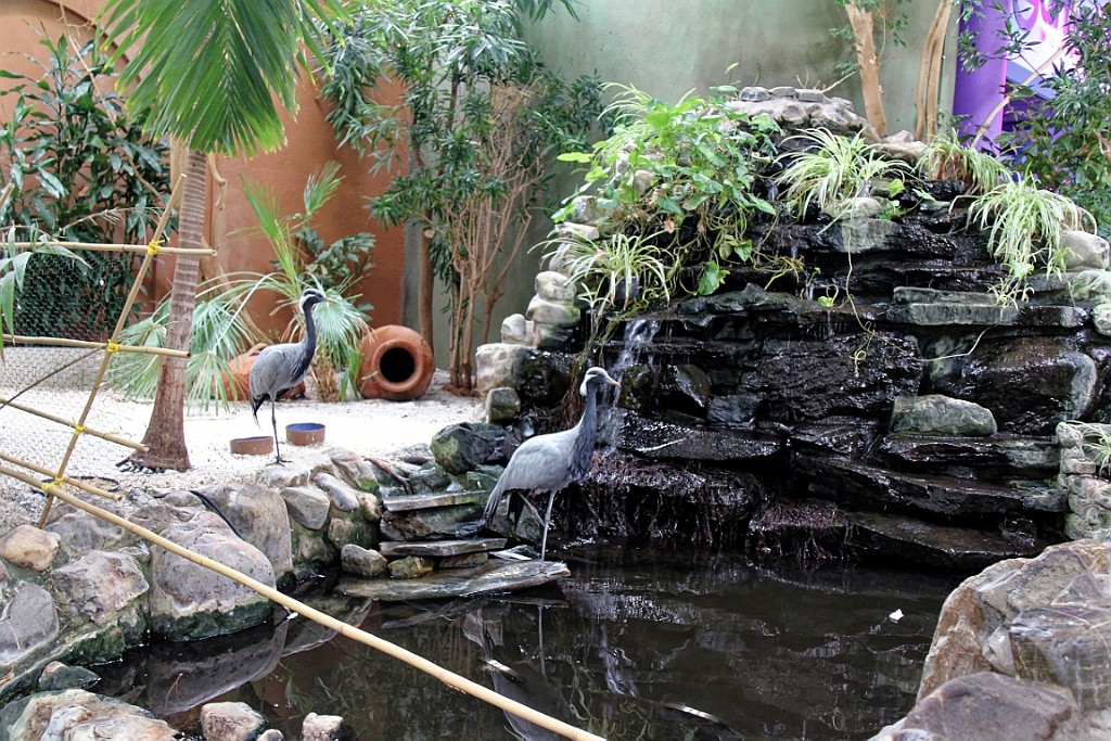 CPLP0419 (65).jpg