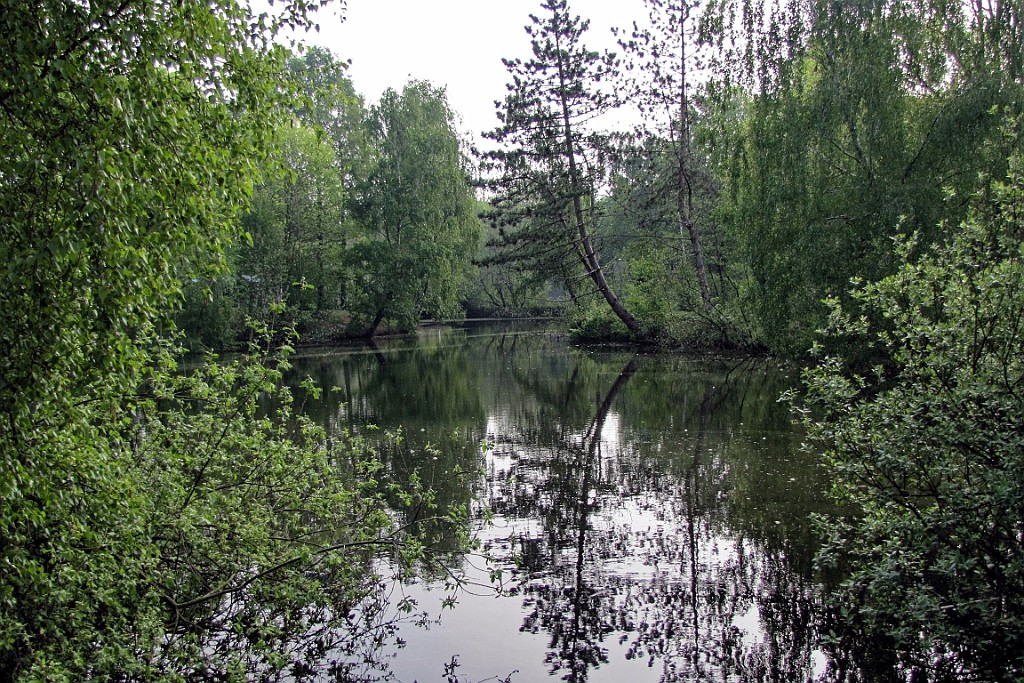 CPLP0419 (77).jpg