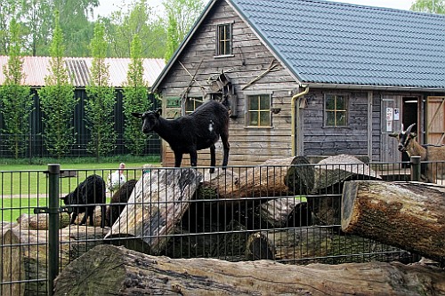 CPLP0419 (37)