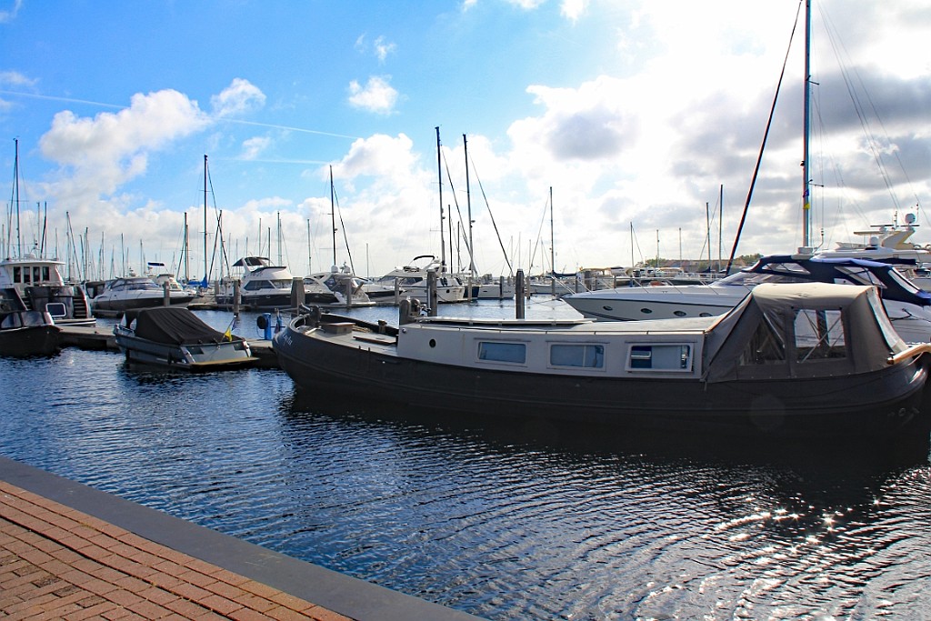 CPPZ0522 (24).JPG