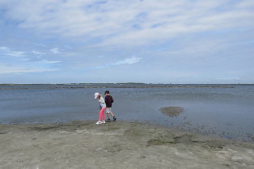 CPPZ0522 (56)