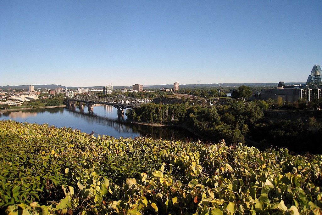 Can0265.jpg
