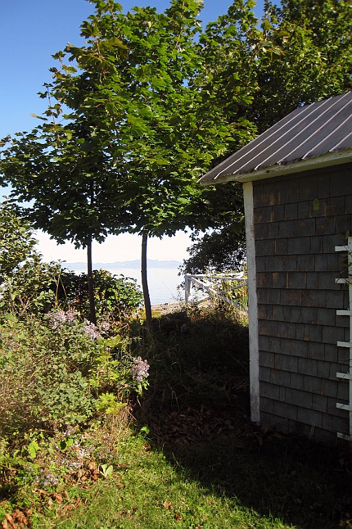 Can0445.jpg