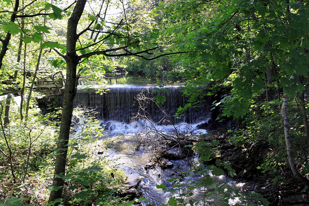 Can0475.jpg