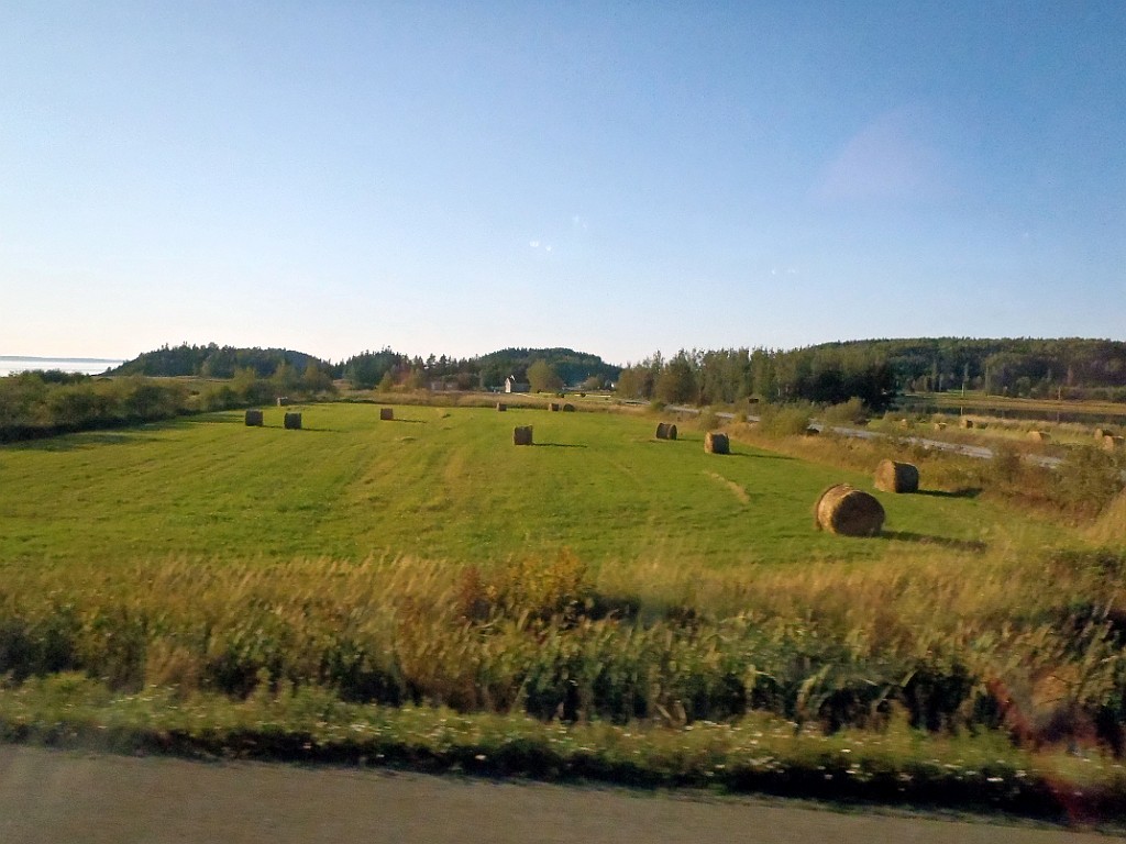 Can0503.jpg