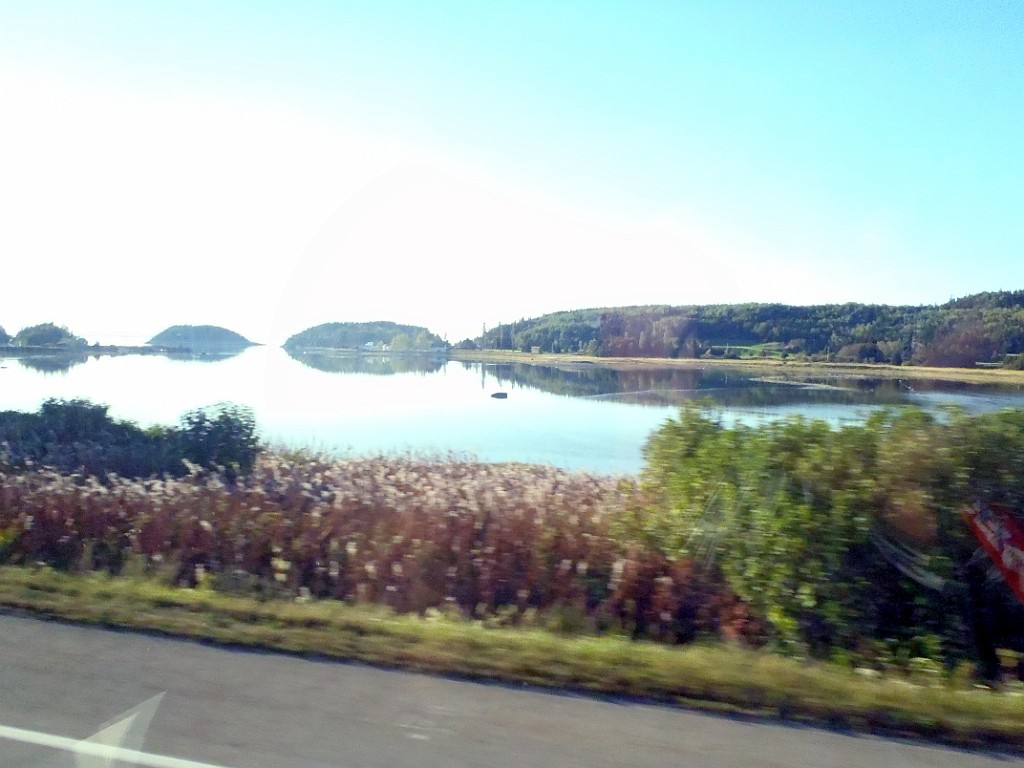 Can0504.jpg