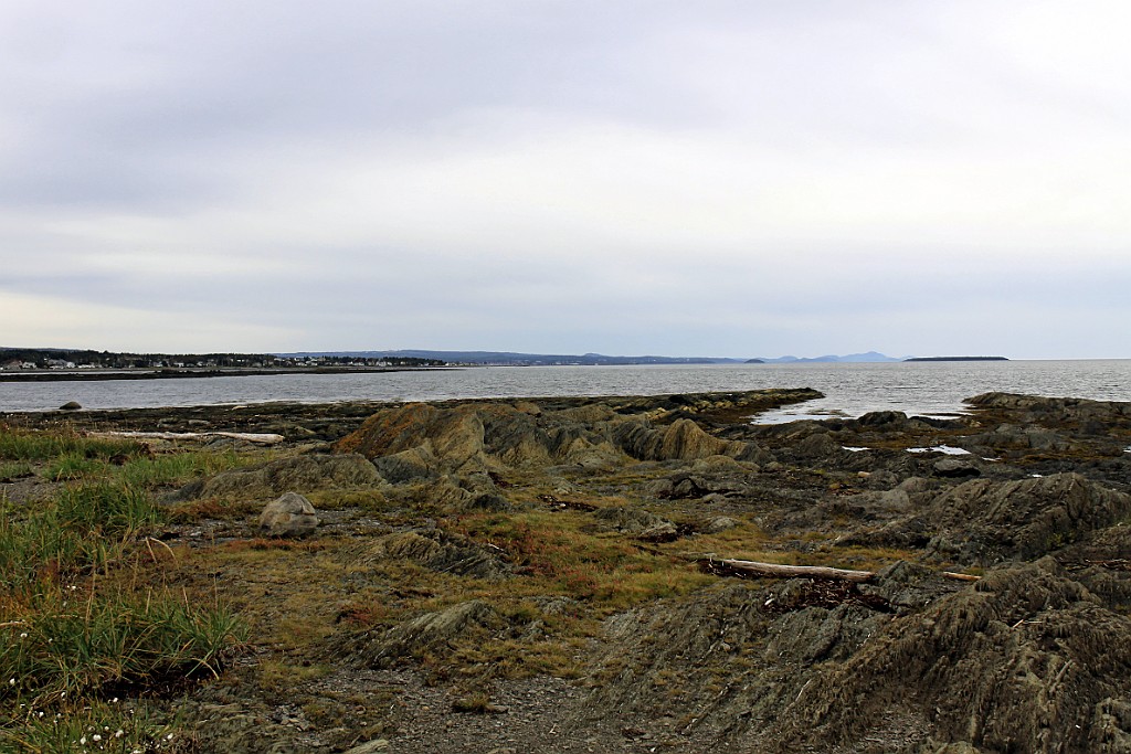 Can0509.jpg