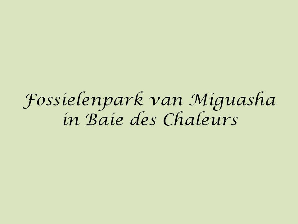 Can0532.jpg
