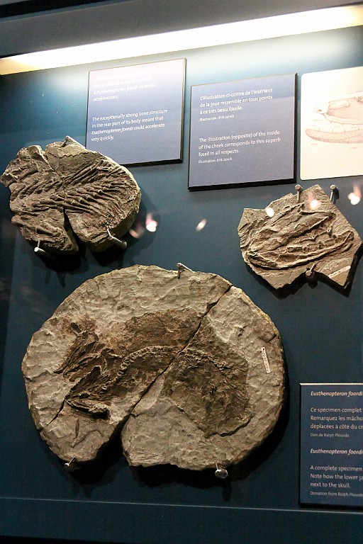Can0548.jpg