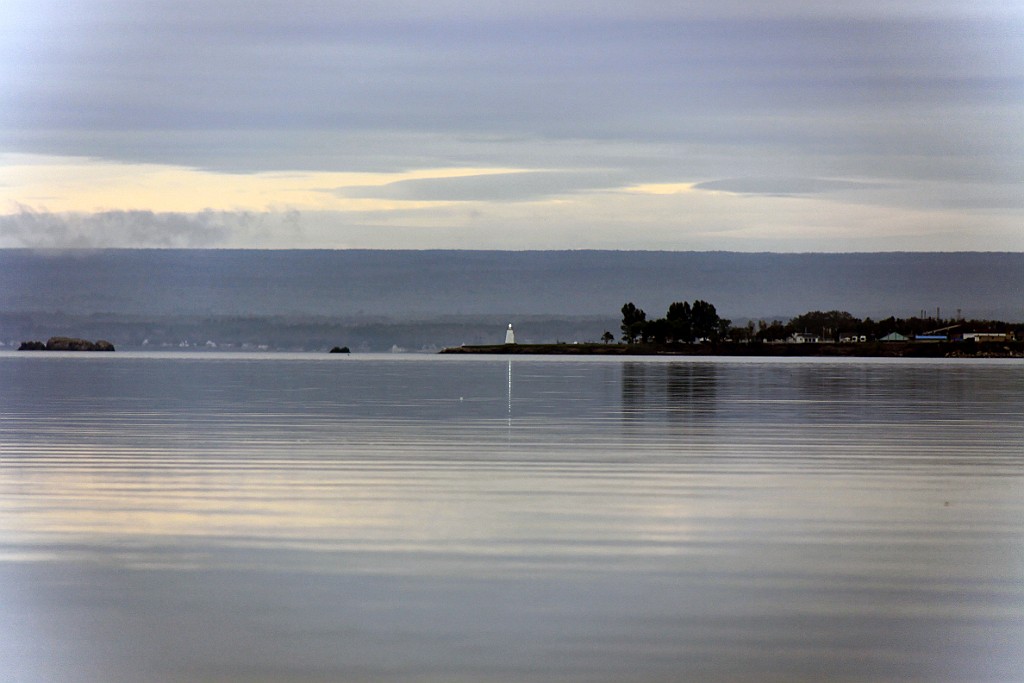 Can0557.jpg