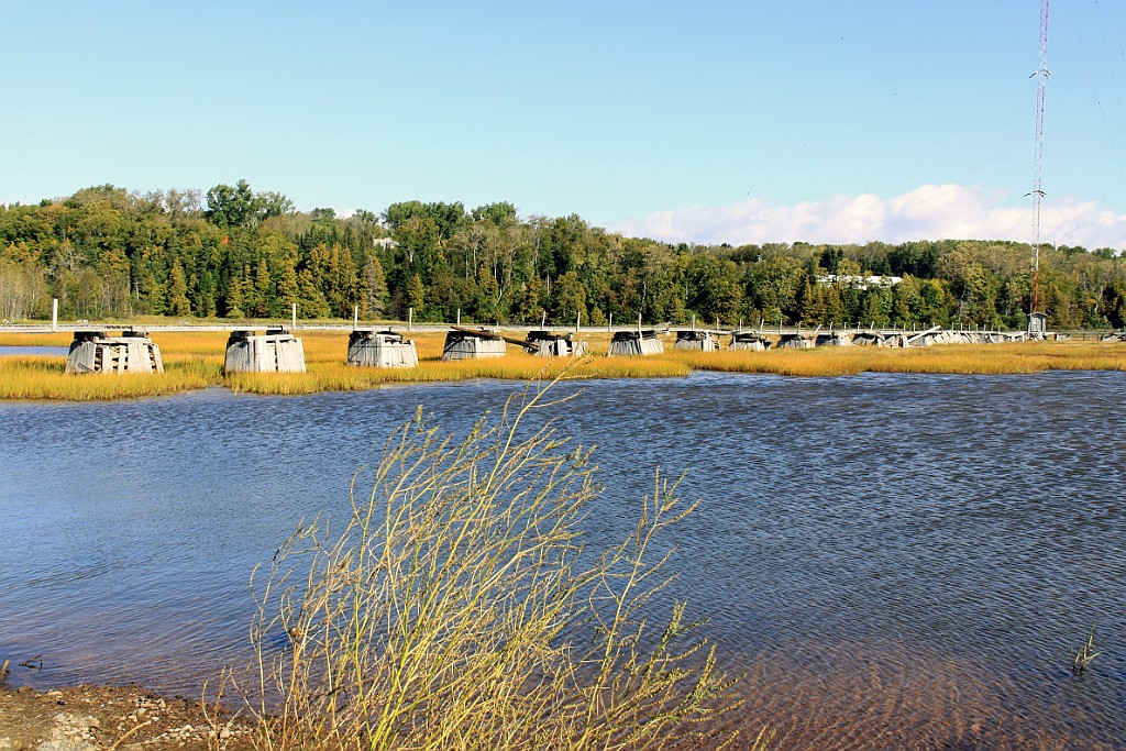 Can0587.jpg