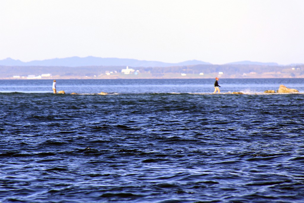 Can0601.jpg