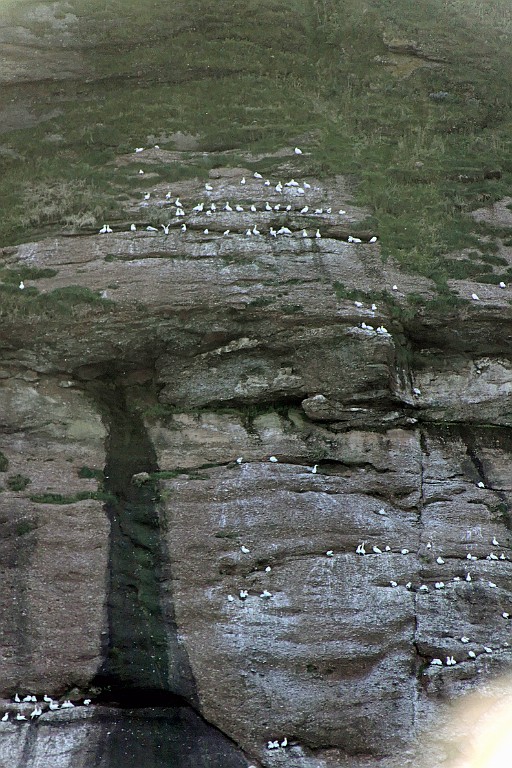 Can0610.jpg