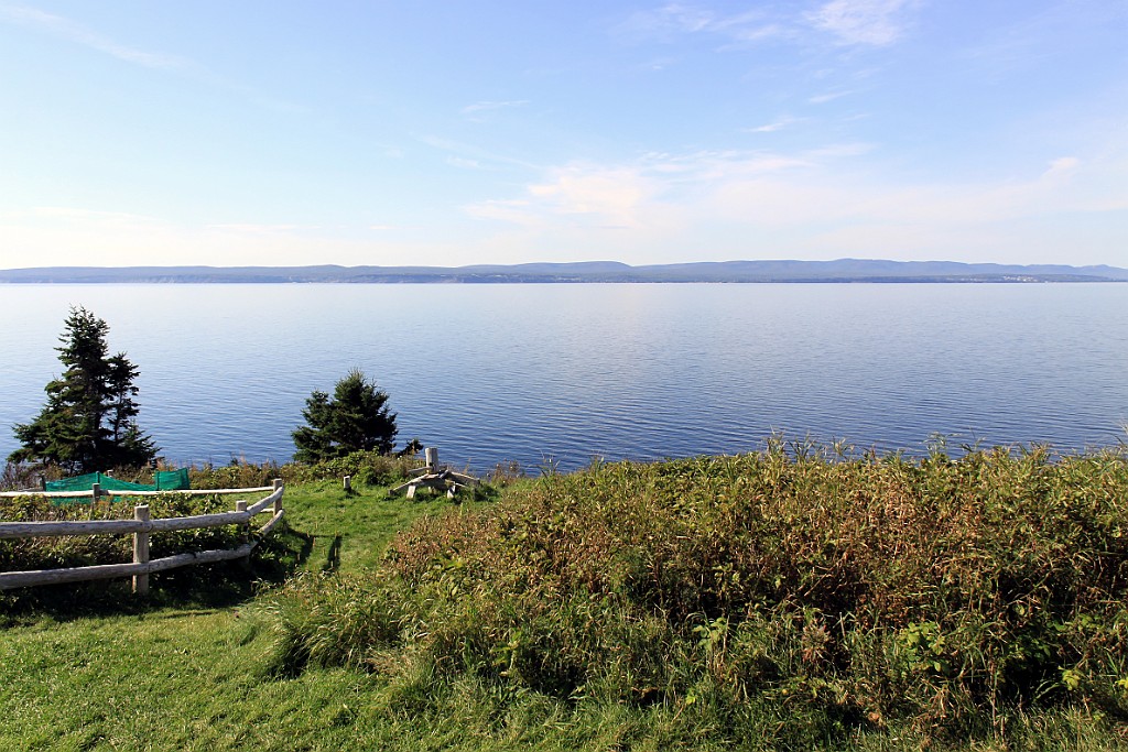 Can0655.jpg