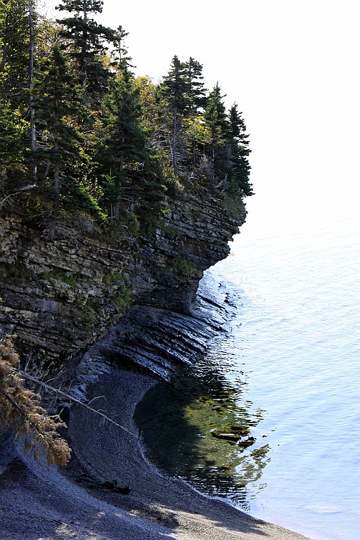 Can0656.jpg