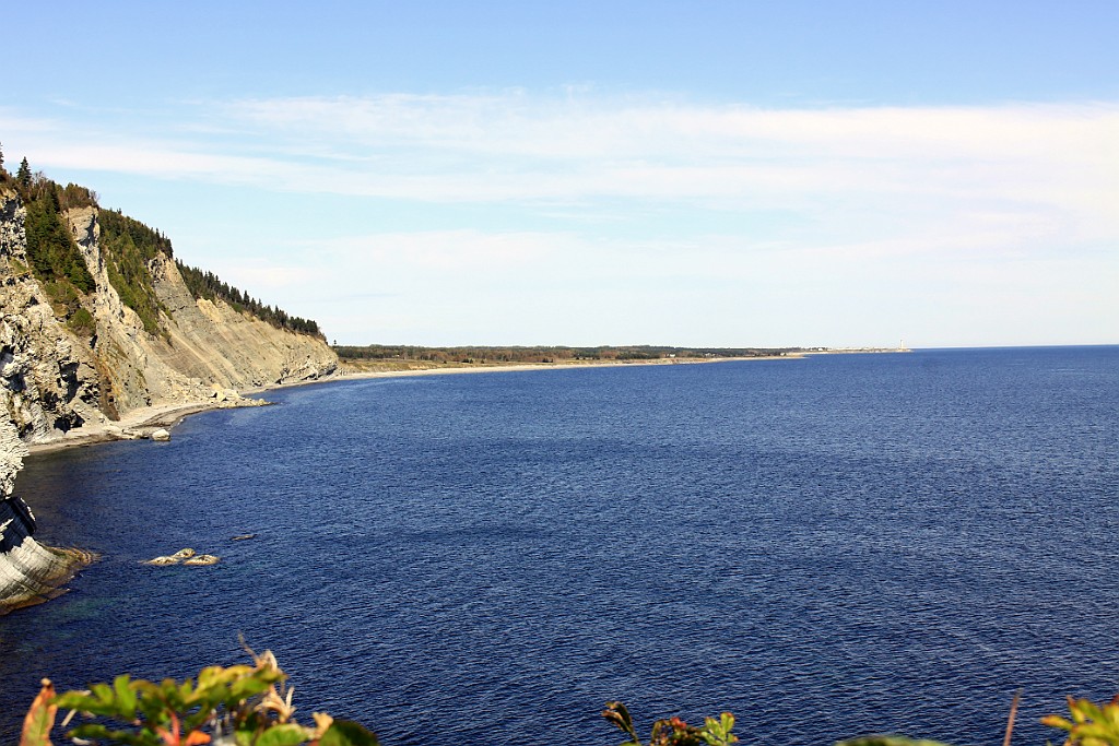 Can0661.jpg