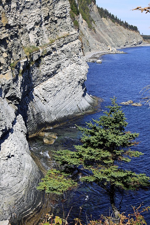 Can0670.jpg