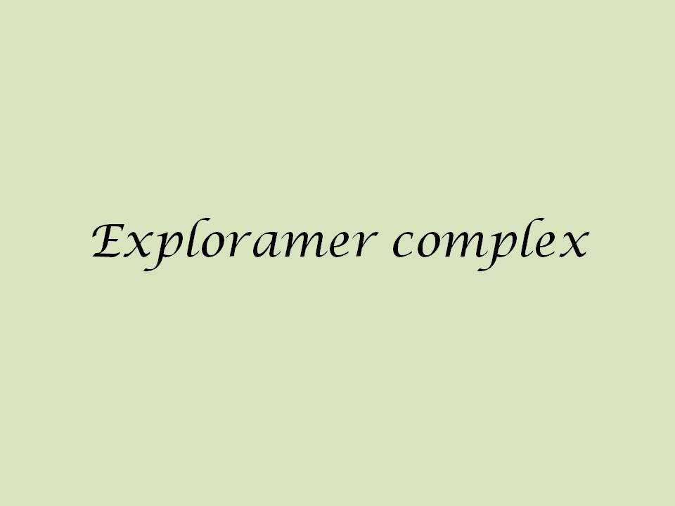 Can0677.jpg