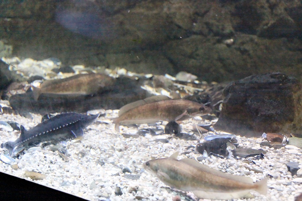 Can0685.jpg