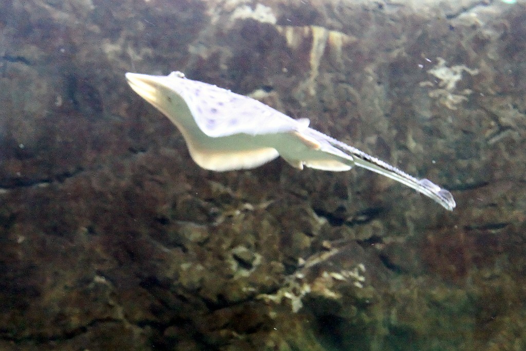 Can0688.jpg