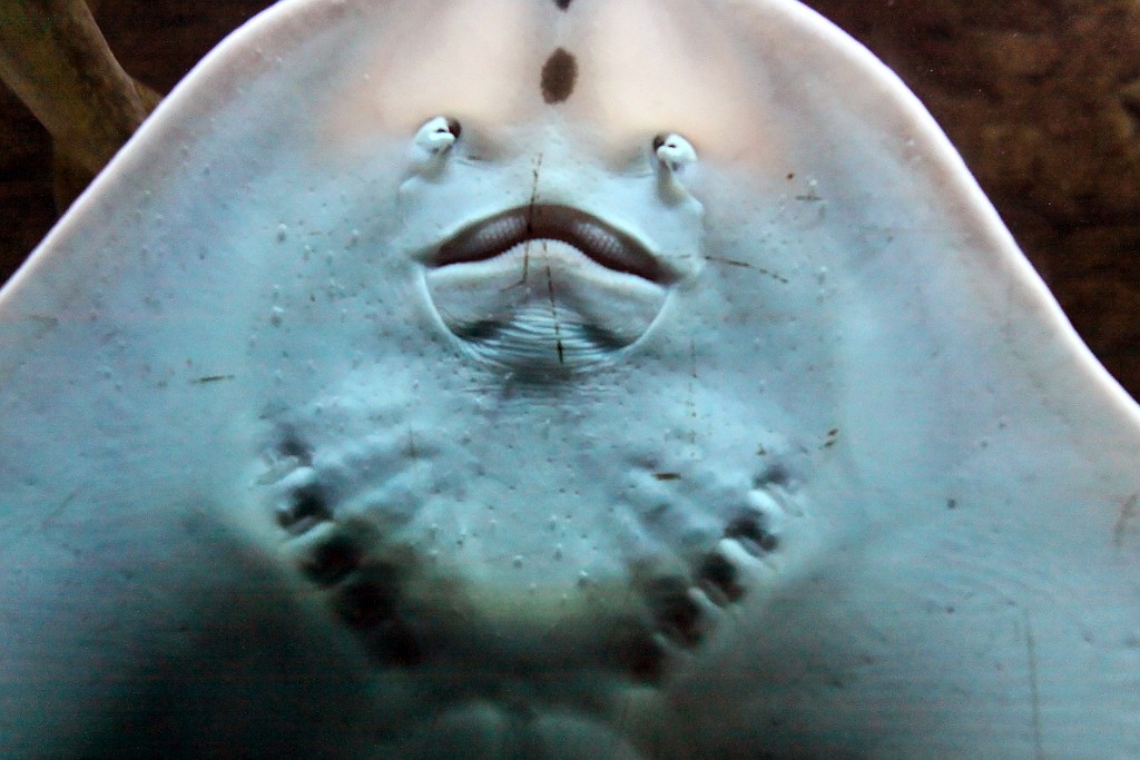 Can0689.jpg
