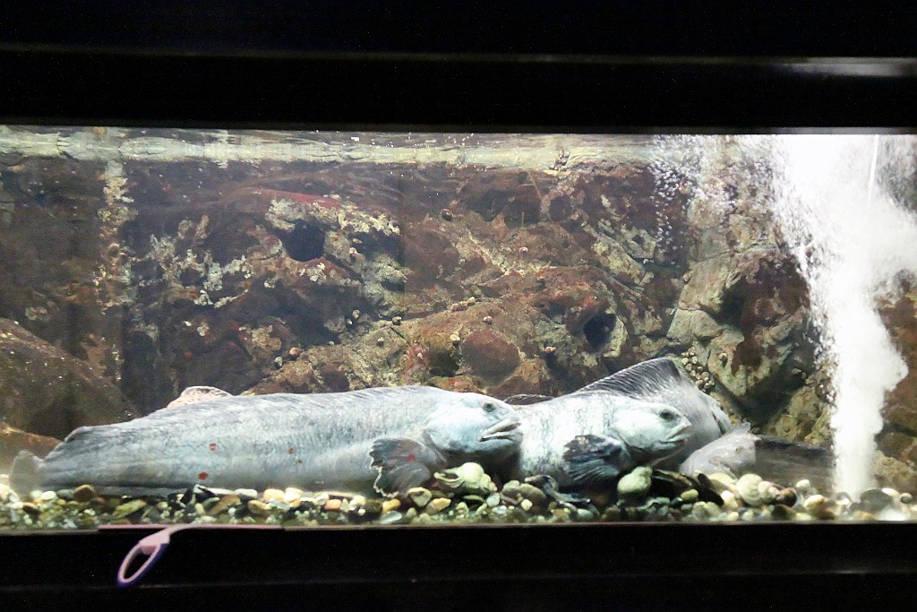 Can0690.jpg