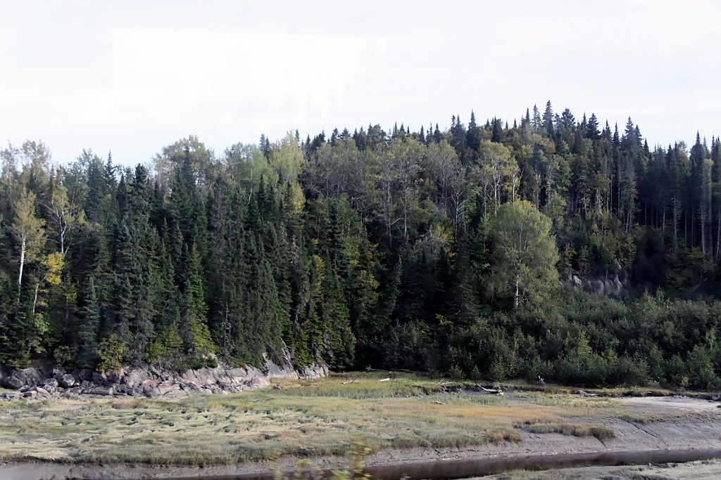 Can0703.jpg