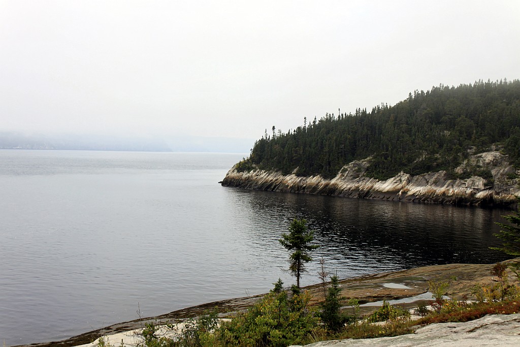 Can0713.jpg