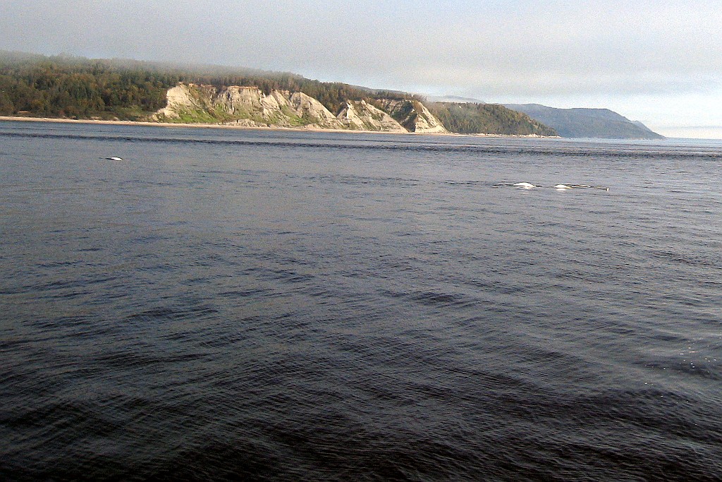 Can0725.jpg