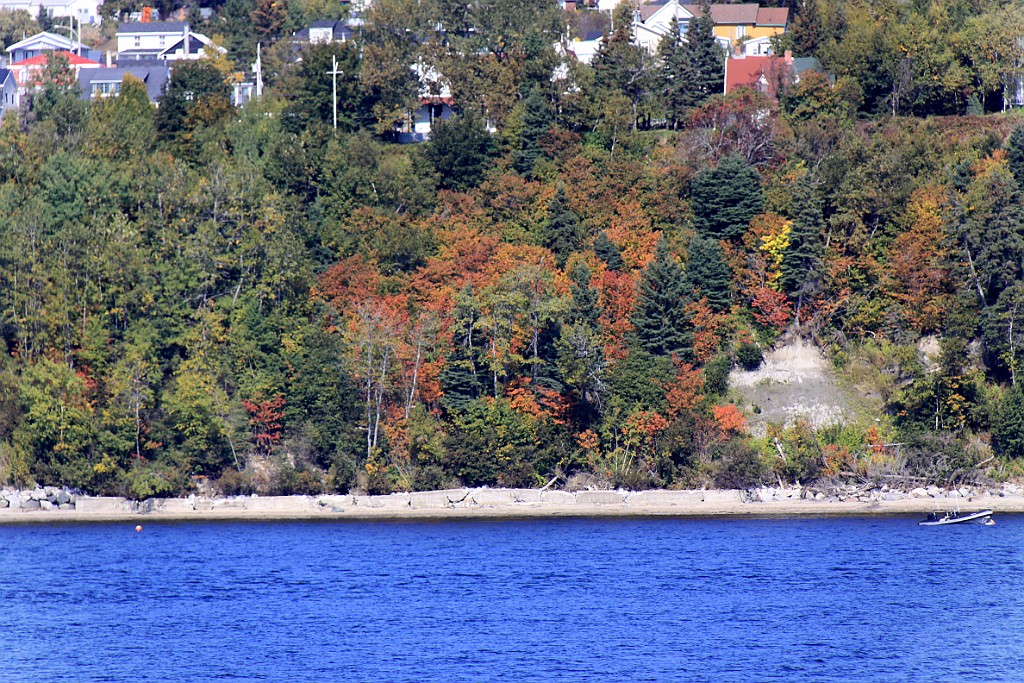 Can0755.jpg