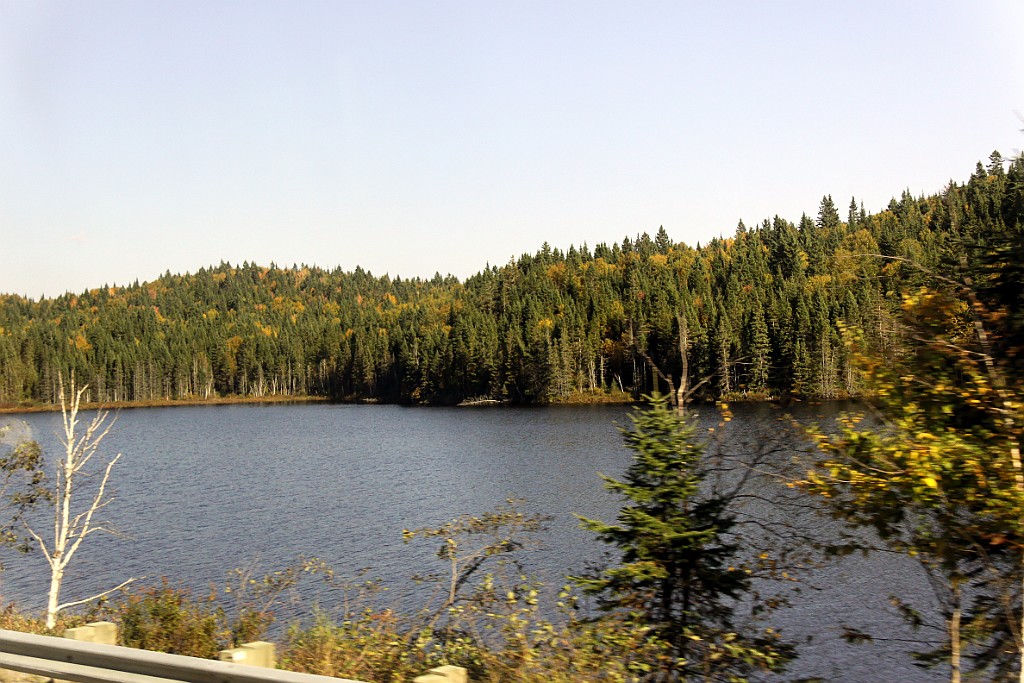 Can0756.jpg