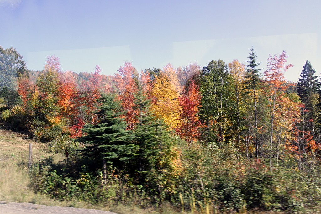 Can0757.jpg