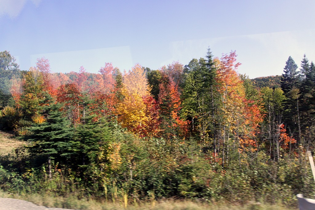 Can0758.jpg