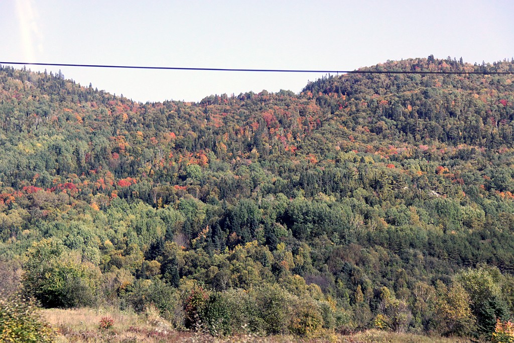Can0762.jpg