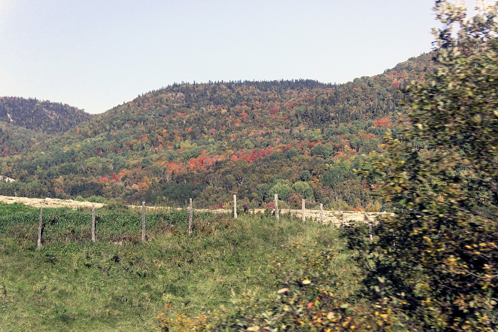 Can0763.jpg