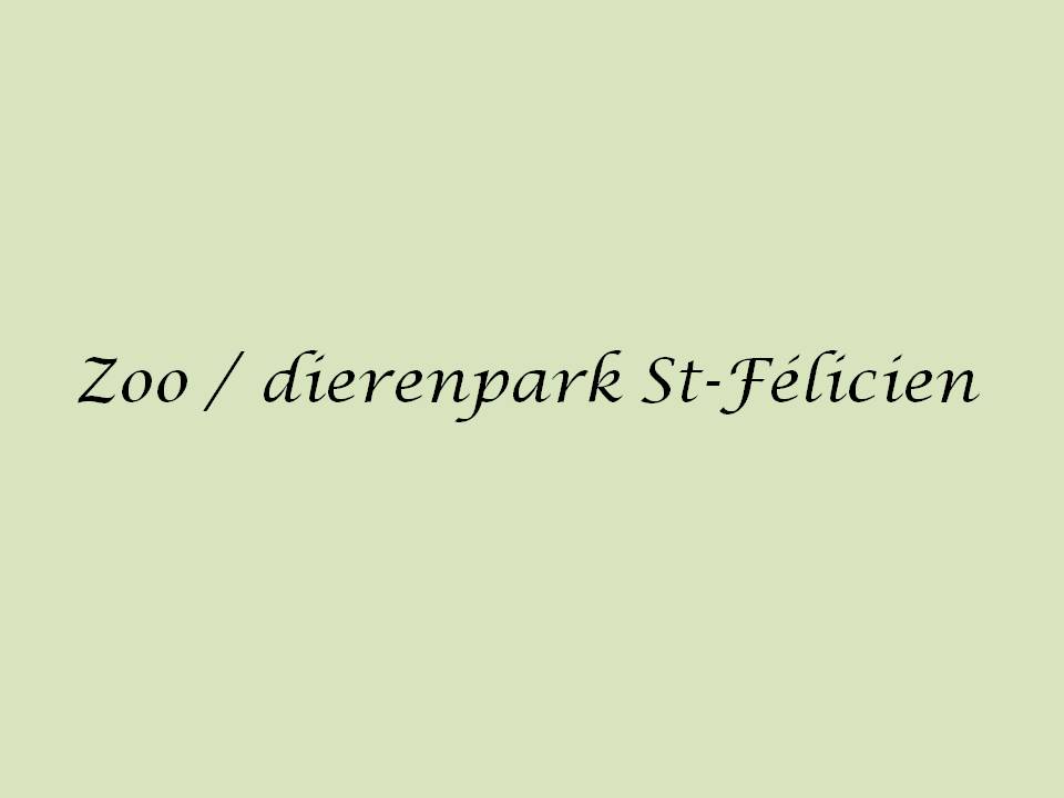 Can0775.JPG