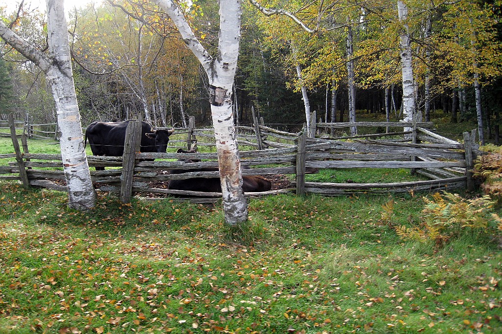Can0784.jpg