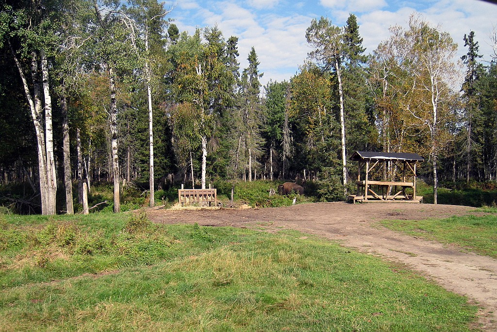 Can0788.jpg