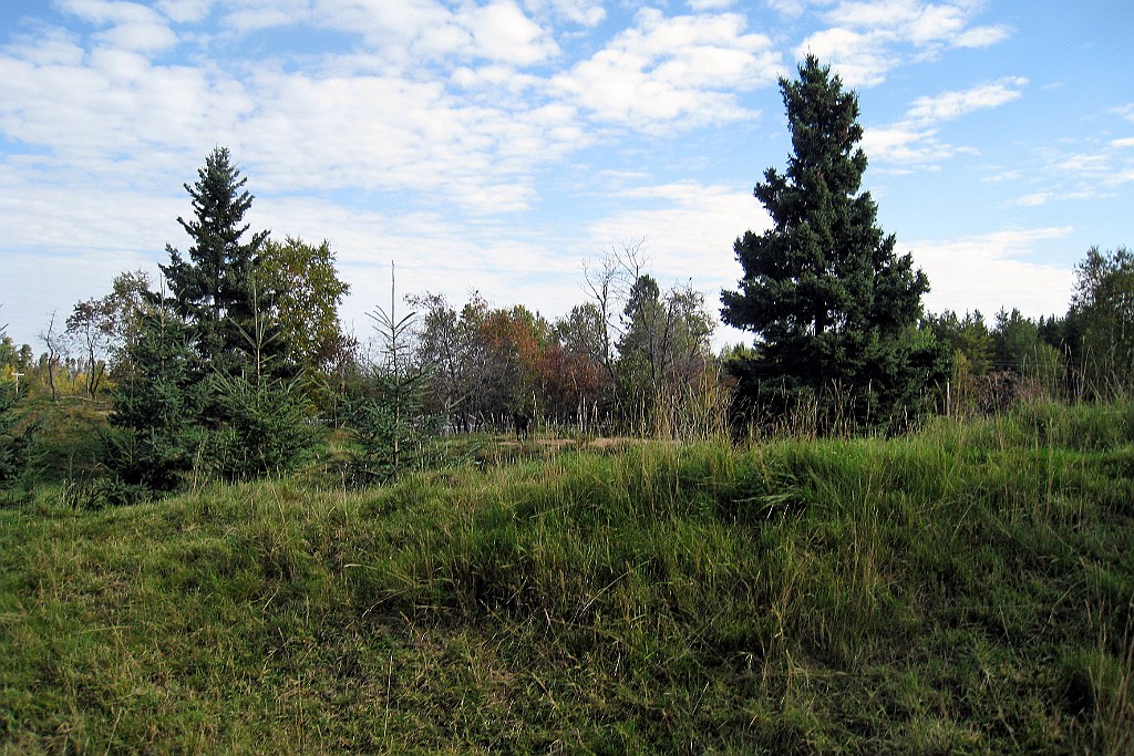 Can0790.jpg