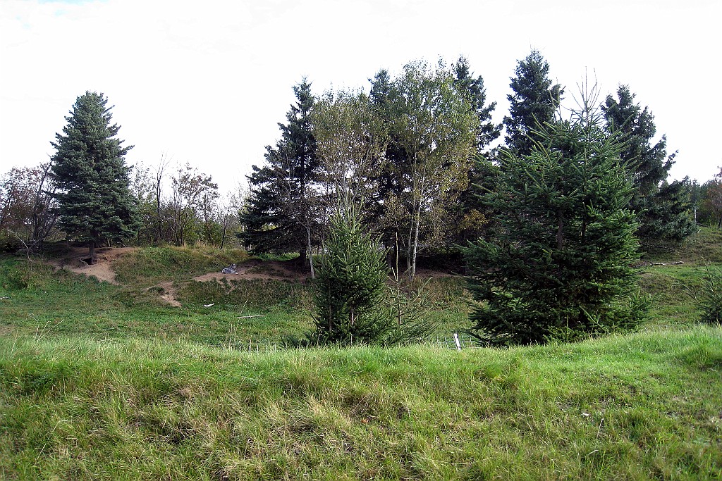 Can0793.jpg