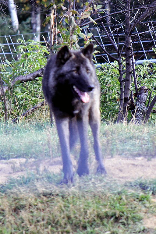 Can0794.jpg