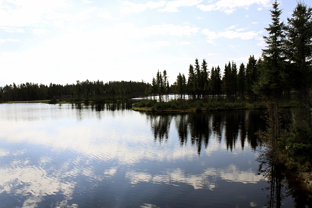 Can0820.jpg