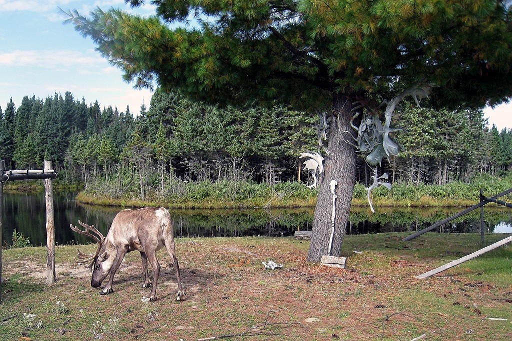 Can0821.jpg