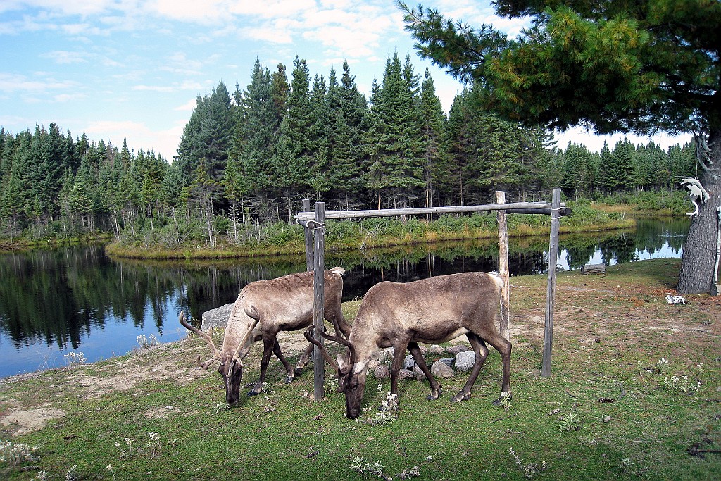Can0822.jpg