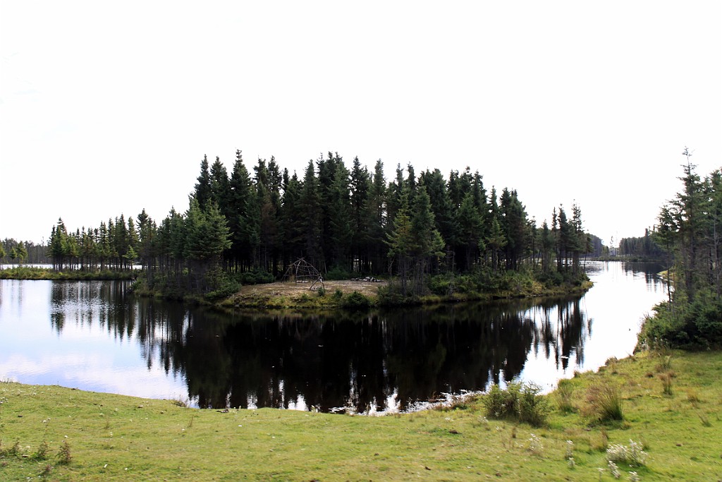 Can0824.jpg